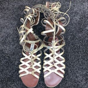 Steve Madden Hercules Gladiator Sandals